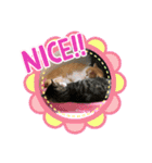 ドンノブボム⑦（個別スタンプ：3）