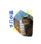 ドンノブボム⑦（個別スタンプ：13）