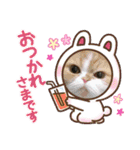 ドンノブボム⑦（個別スタンプ：24）