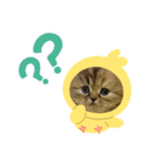 ドンノブボム⑦（個別スタンプ：35）