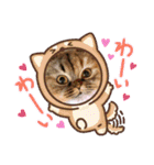 ドンノブボム⑦（個別スタンプ：37）