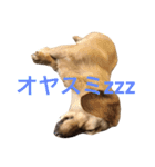 龍之介ニコニコスタンプ（個別スタンプ：2）