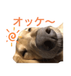 龍之介ニコニコスタンプ（個別スタンプ：7）