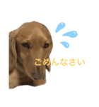 龍之介ニコニコスタンプ（個別スタンプ：12）