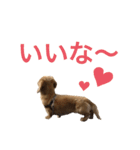 龍之介ニコニコスタンプ（個別スタンプ：14）