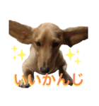 龍之介ニコニコスタンプ（個別スタンプ：16）