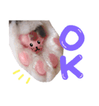 ちゃびのひとこと（個別スタンプ：11）