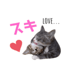 ちゃびのひとこと（個別スタンプ：19）