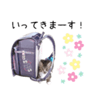 ちゃびのひとこと（個別スタンプ：22）