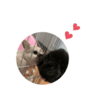 おまめくん⑥（個別スタンプ：16）