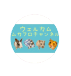 ムカフロたちのスタンプ（個別スタンプ：1）