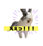ムカフロたちのスタンプ（個別スタンプ：3）