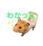 ムカフロたちのスタンプ（個別スタンプ：4）