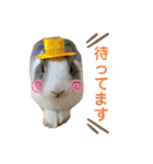 ムカフロたちのスタンプ（個別スタンプ：10）