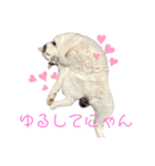 ムカフロたちのスタンプ（個別スタンプ：11）