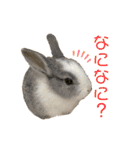 ムカフロたちのスタンプ（個別スタンプ：14）