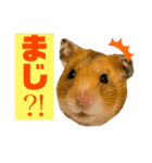 ムカフロたちのスタンプ（個別スタンプ：15）