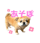 ムカフロたちのスタンプ（個別スタンプ：18）