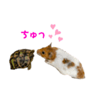 ムカフロたちのスタンプ（個別スタンプ：21）