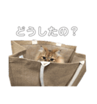 のづけ（個別スタンプ：6）