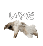 のづけ（個別スタンプ：8）