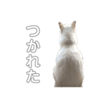 のづけ（個別スタンプ：9）