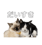 のづけ（個別スタンプ：12）