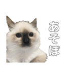 のづけ（個別スタンプ：18）