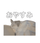 のづけ（個別スタンプ：23）