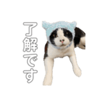 のづけ（個別スタンプ：30）
