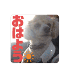 ViViちゃんのスタンプ@（個別スタンプ：1）