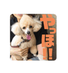 ViViちゃんのスタンプ@（個別スタンプ：3）