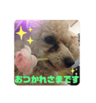 ViViちゃんのスタンプ@（個別スタンプ：4）