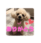 ViViちゃんのスタンプ@（個別スタンプ：5）