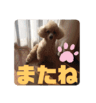 ViViちゃんのスタンプ@（個別スタンプ：7）