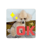 ViViちゃんのスタンプ@（個別スタンプ：8）