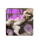 ViViちゃんのスタンプ@（個別スタンプ：9）