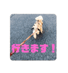 ViViちゃんのスタンプ@（個別スタンプ：13）