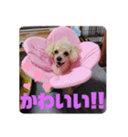 ViViちゃんのスタンプ@（個別スタンプ：16）