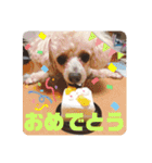 ViViちゃんのスタンプ@（個別スタンプ：23）
