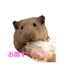 キンクマ専用スタンプ★（個別スタンプ：2）