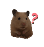 キンクマ専用スタンプ★（個別スタンプ：3）