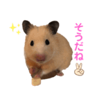 キンクマ専用スタンプ★（個別スタンプ：6）