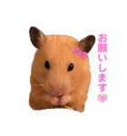 キンクマ専用スタンプ★（個別スタンプ：8）