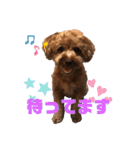 もふもふのお友達ペコ（個別スタンプ：4）