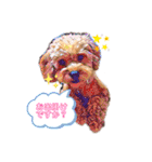 もふもふのお友達ペコ（個別スタンプ：7）