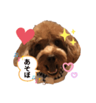 もふもふのお友達ペコ（個別スタンプ：9）
