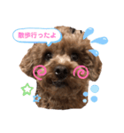 もふもふのお友達ペコ（個別スタンプ：10）
