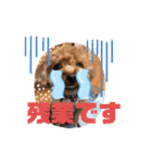 もふもふのお友達ペコ（個別スタンプ：12）