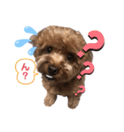 もふもふのお友達ペコ（個別スタンプ：14）